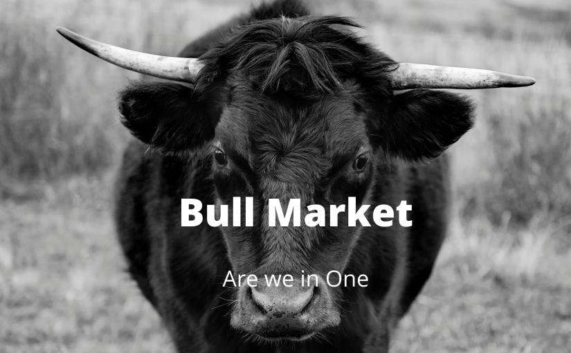 Bull Market – Are we in One