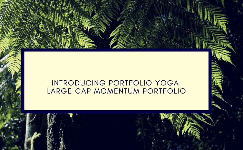 Introducing Portfolio Yoga Large Cap Momentum Portfolio